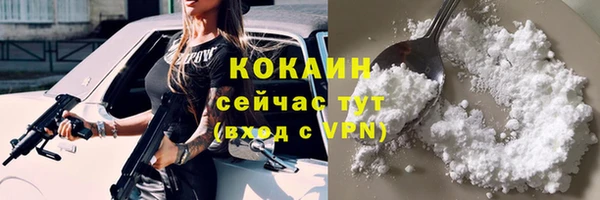 прущие грибы Касимов