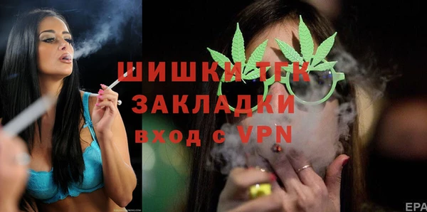 прущие грибы Касимов