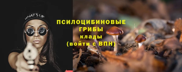 прущие грибы Касимов