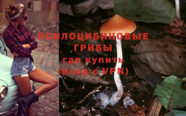 прущие грибы Касимов