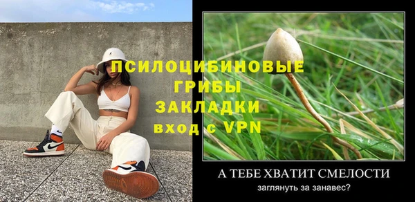 прущие грибы Касимов