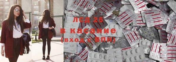прущие грибы Касимов