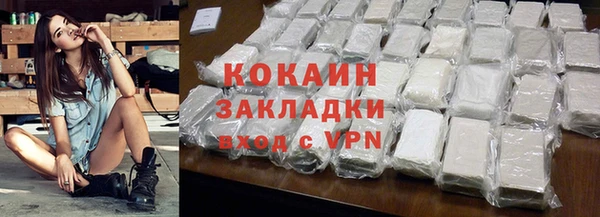 прущие грибы Касимов