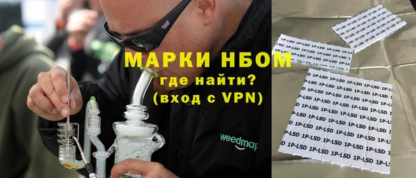 прущие грибы Касимов
